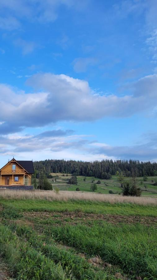 Вилла Hamajdowka Zubrzyca Gorna Экстерьер фото